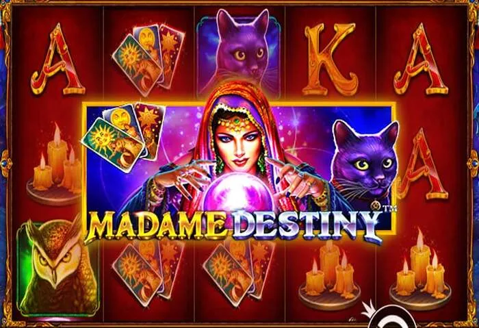 Play the newest online slots at Play Fortuna Casino
