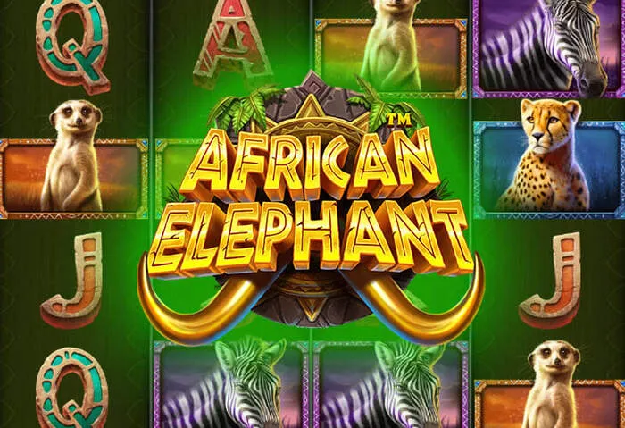 Play Fortuna mobile casino app download guide