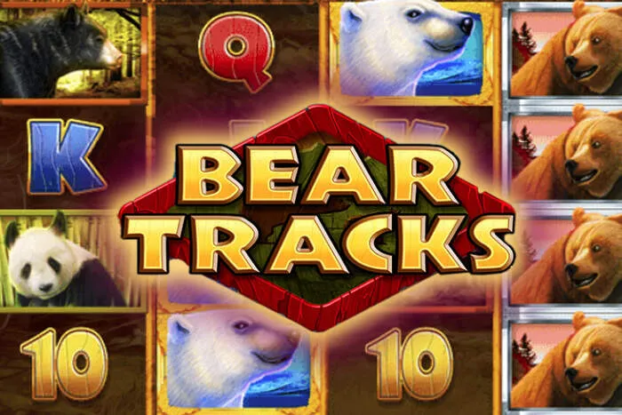 Play Fortuna mobile casino app download guide