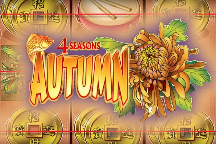 Live dealer roulette game screen, showcasing the immersive experience at Playfortunacasino Online.