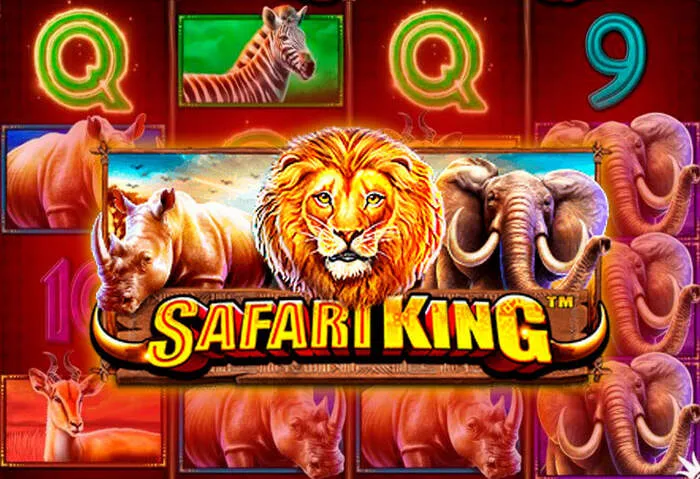 Variety of Play Fortuna Casino payment methods: cards, e-wallets, crypto